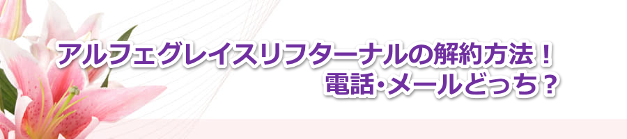 �A���t�F�O���C�X���t�^�[�i���̉����@�I�d�b����[���ǂ����H